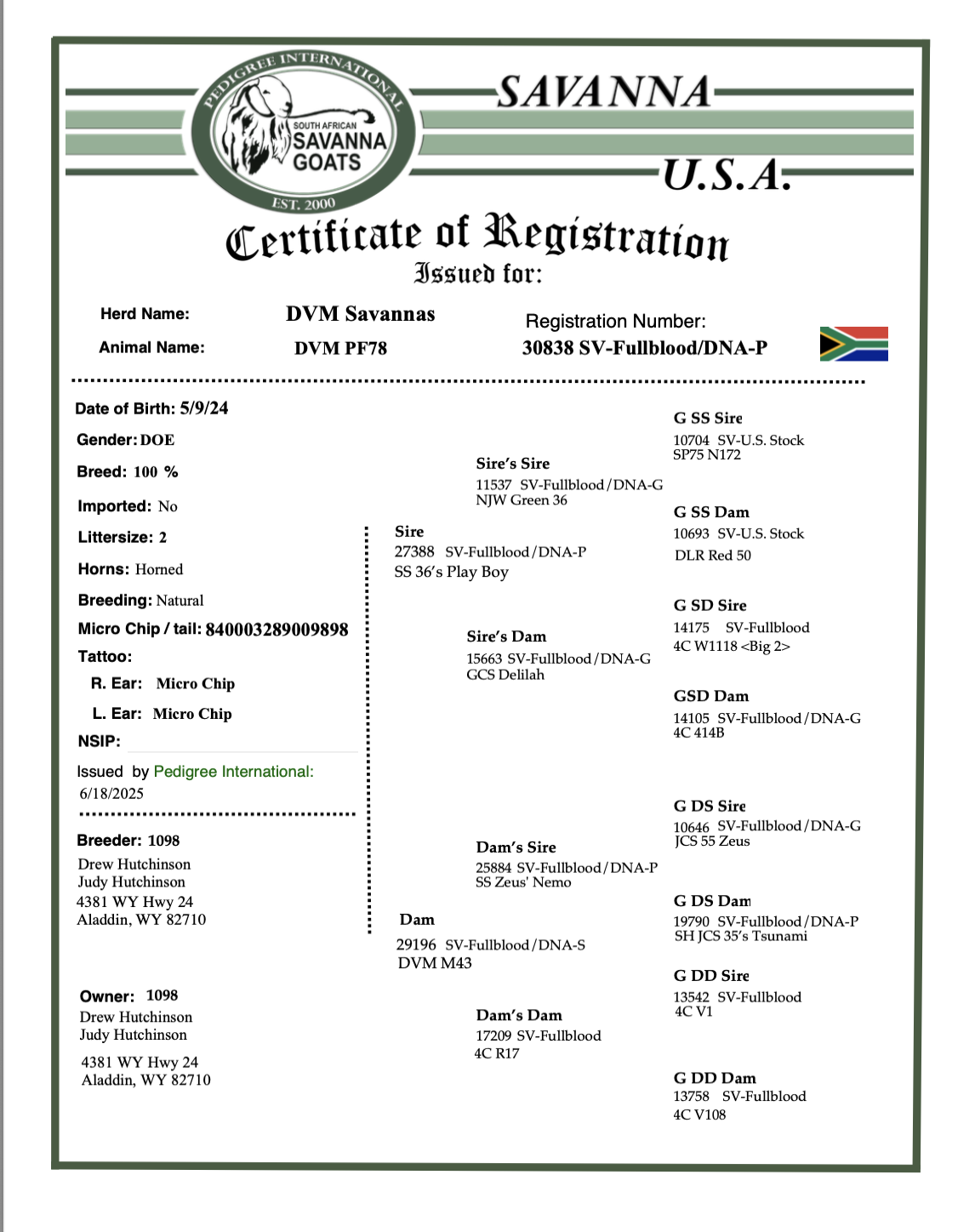 Screenshot 2025-07-07 at 7.54.41 AM